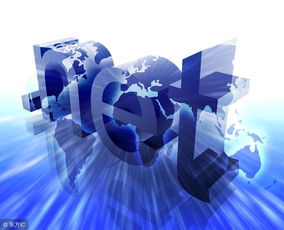 電子商務的浪潮 電子技術驅動下的社會變革與影響